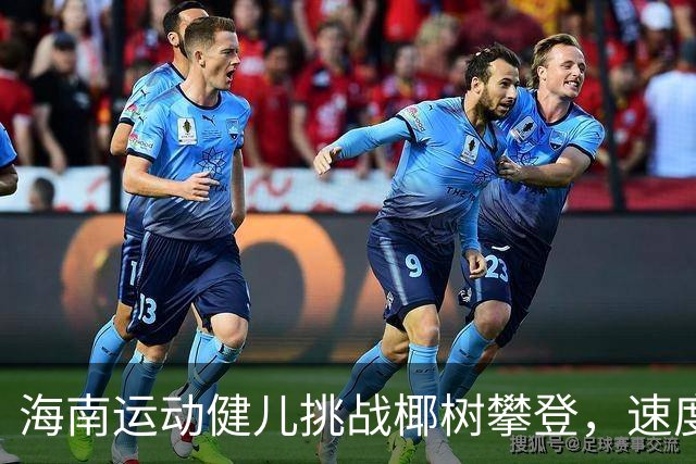 海南运动健儿挑战椰树攀登，速度与技巧的较量